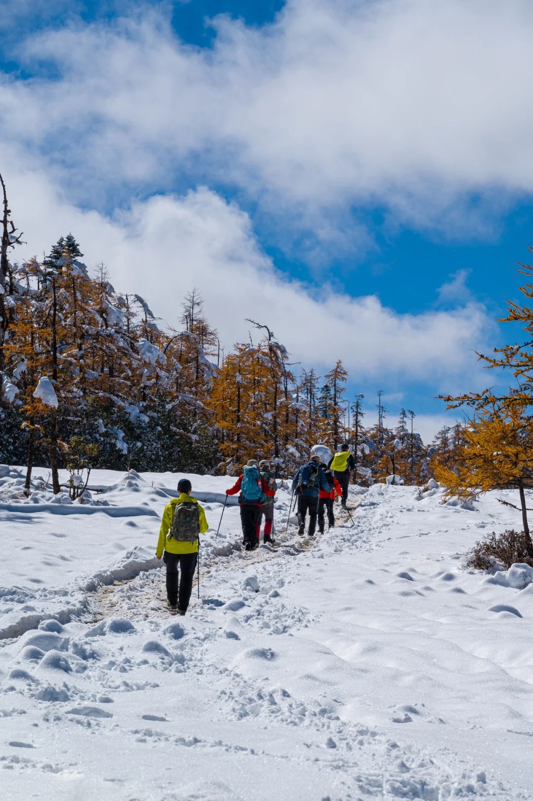 下雪后的阿布吉措直接封神_5_云南徒鹰📷_云南-香格里拉-来自52tours 我爱旅游网